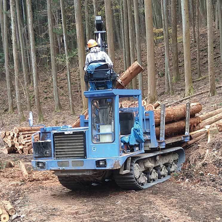 log-carrier.jpg